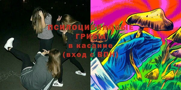 индика Алзамай