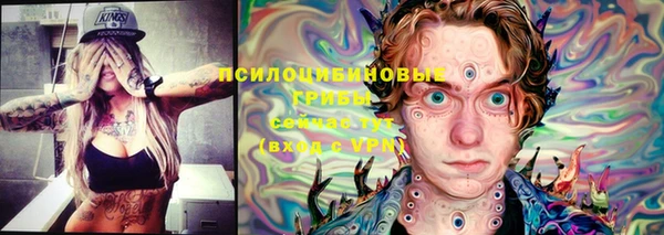 эйфоретик Алексин