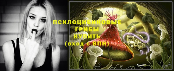 индика Алзамай
