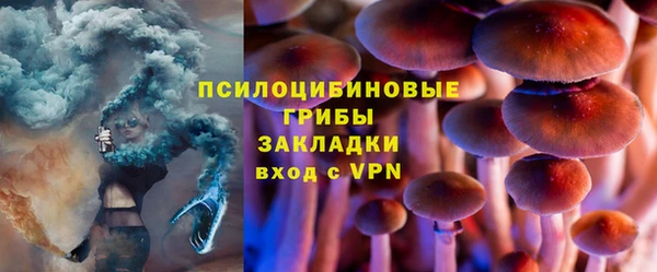 эйфоретик Алексин